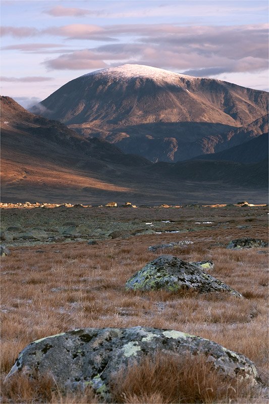 Walter - Coloured Rocks