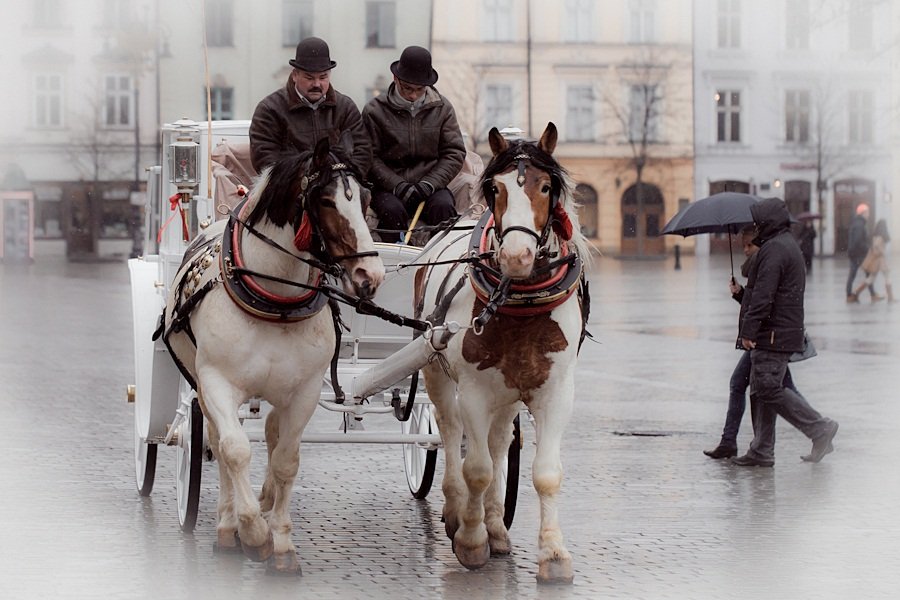 Petr Kačmář - ..Krakow...