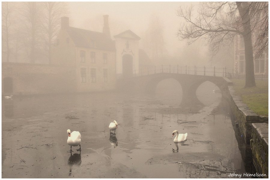 johnyhemelsoen - Bruges in the winter.