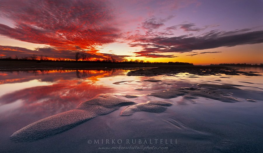 Mirko Rubaltelli - Red