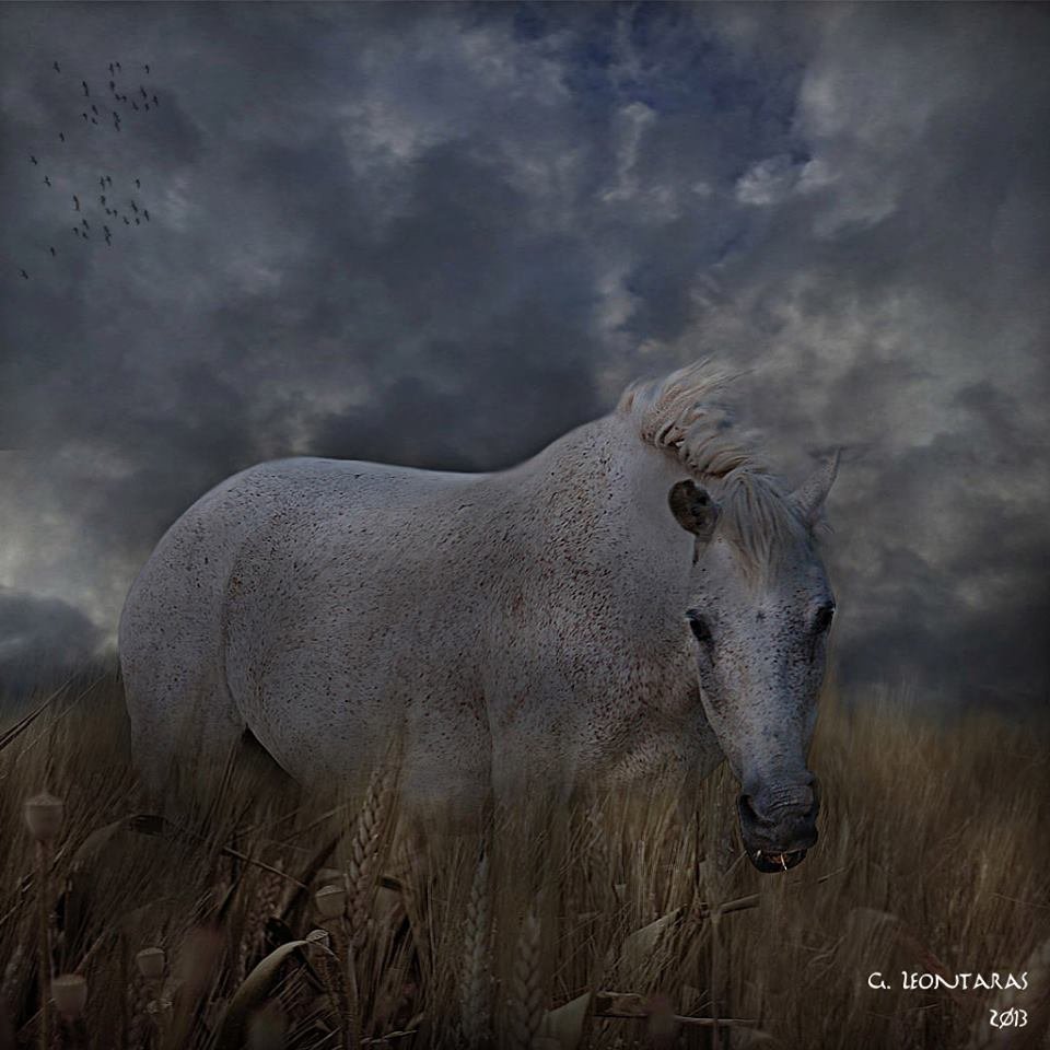 George Leontaras [Greece] - Imperious Centaur