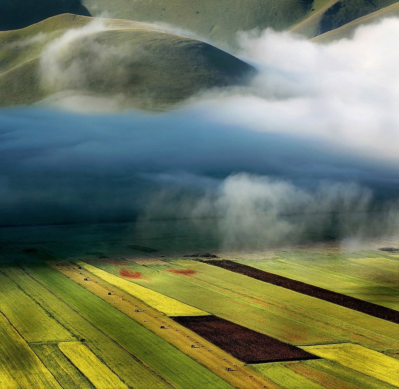 Guest-Host - Edmondo Senatore