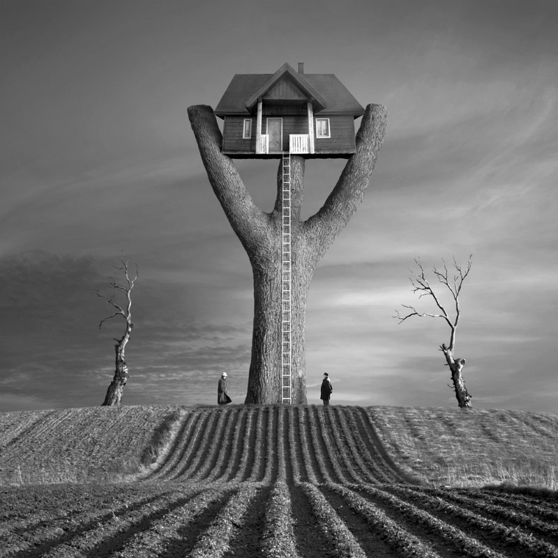 Guest-Host - Dariusz Klimczak