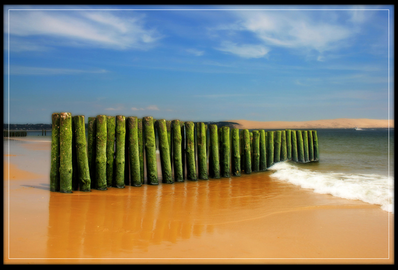 JOAQUÍN REYES - playa de Pyla