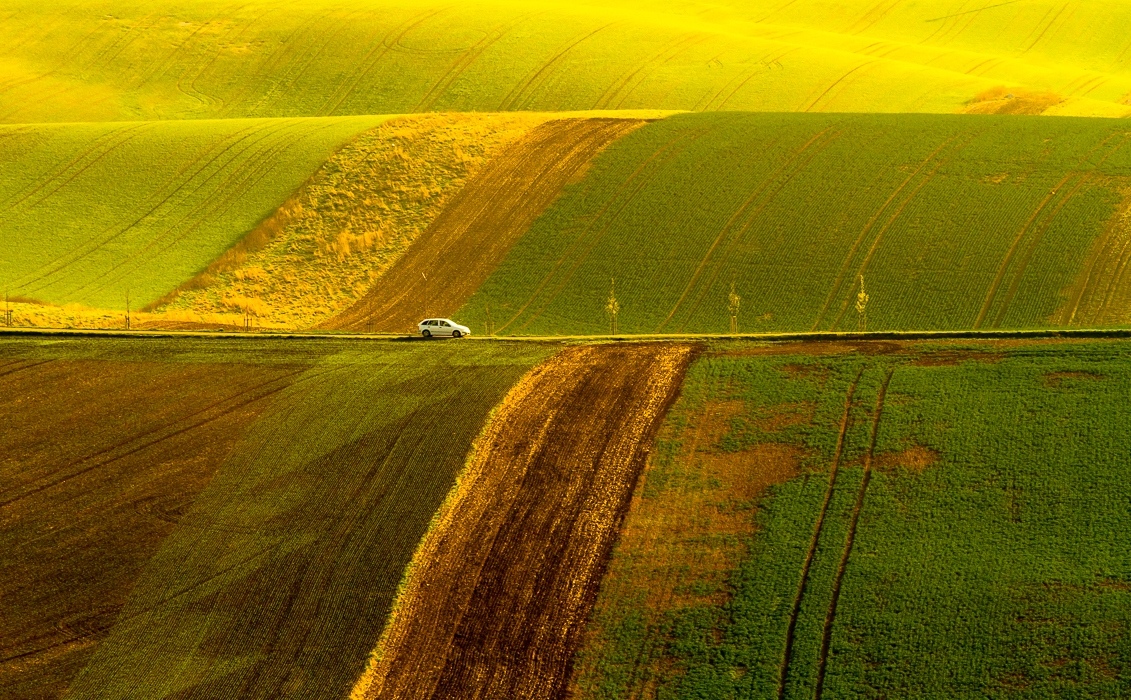 Uhler - Nedělní výlet