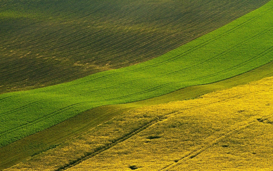 Uhler - šadické pruhy