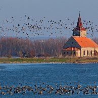 Uhler - Mušovský kostel svatého Linharta