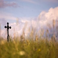 Uhler - Cvak z trávy
