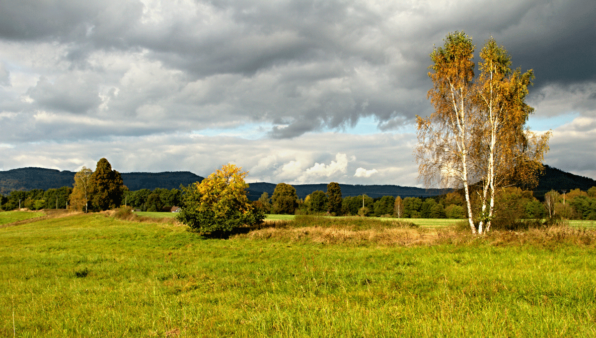 Arci - Na prochazce