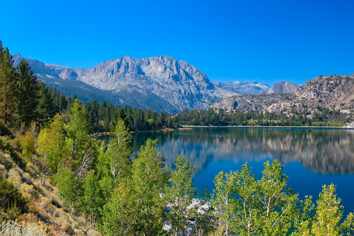 Arci - June Lake