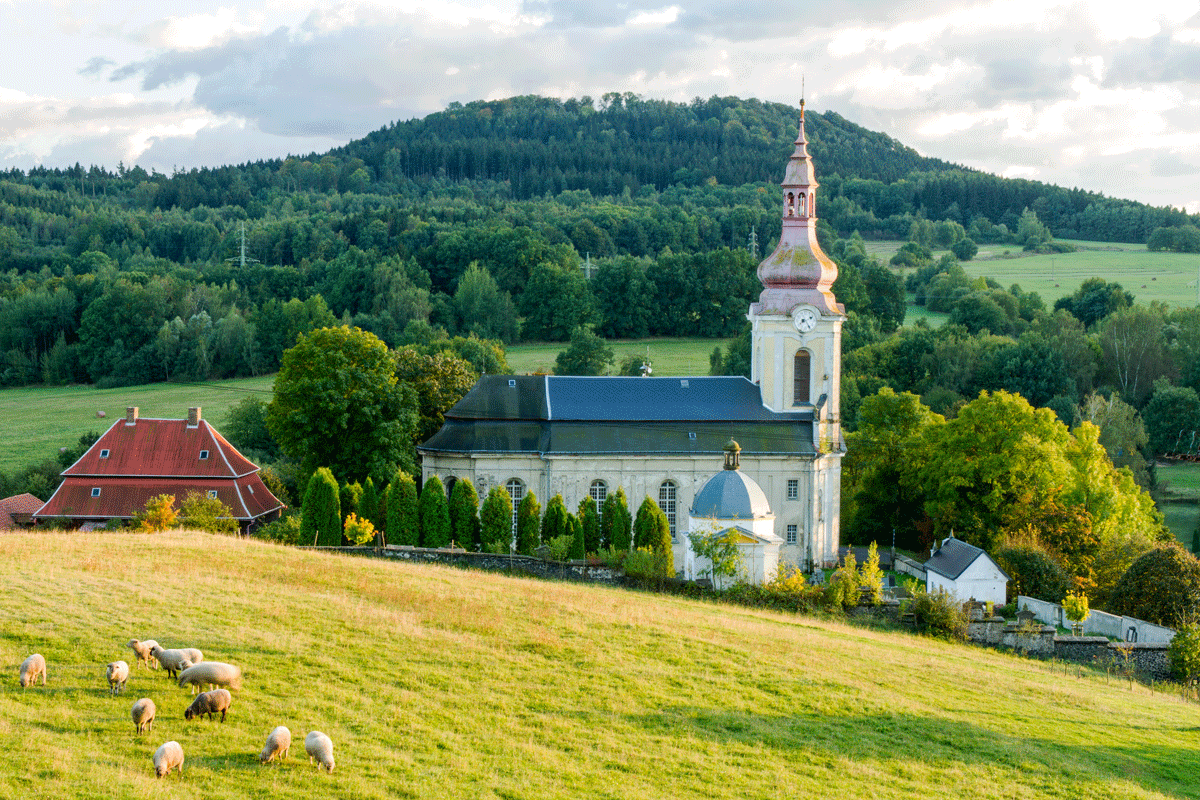 Arci - Podvecerni pastva