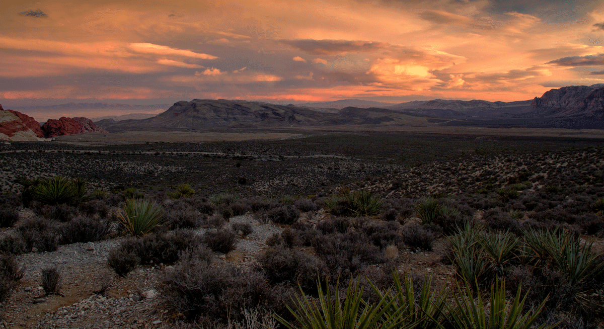 Arci - Red Rock Canyon