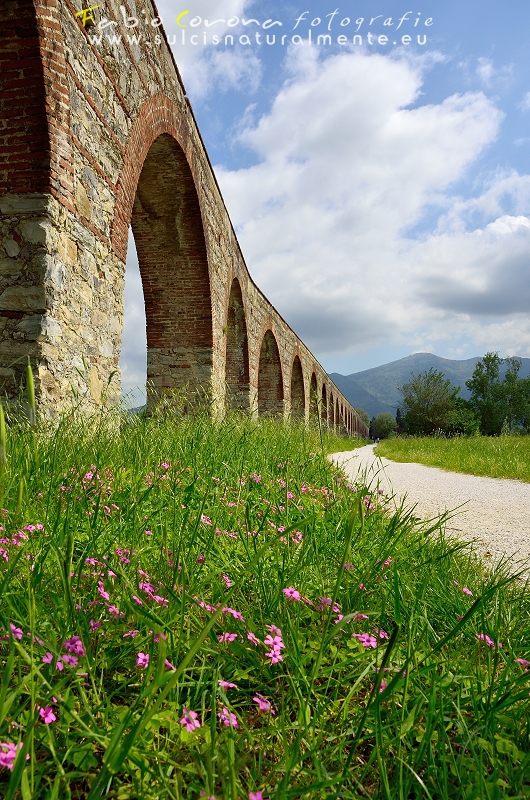 Fabio Corona - Ancient arches