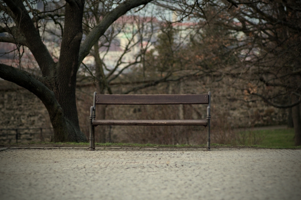 Marek Petrovič - Vyšehradská lavička