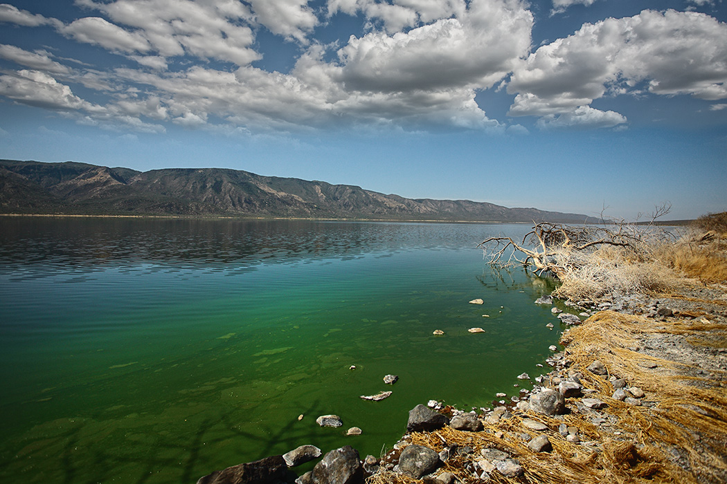 Silvestr Szabo - Lake Baringo