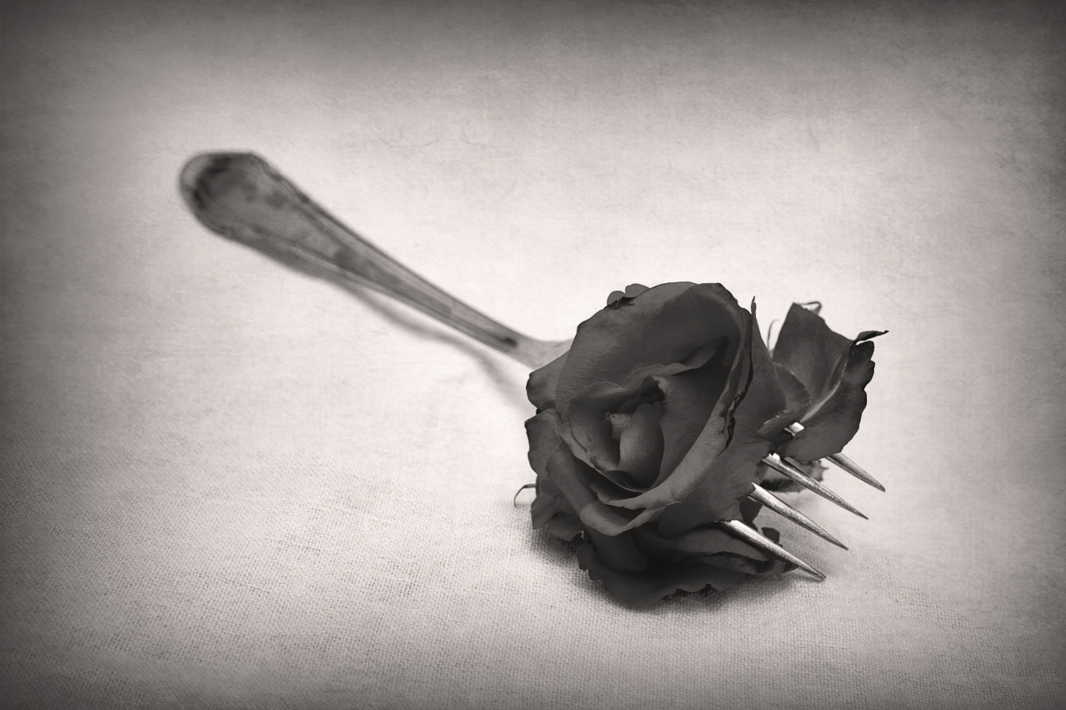 Dušan Macko - Fork N' Rose