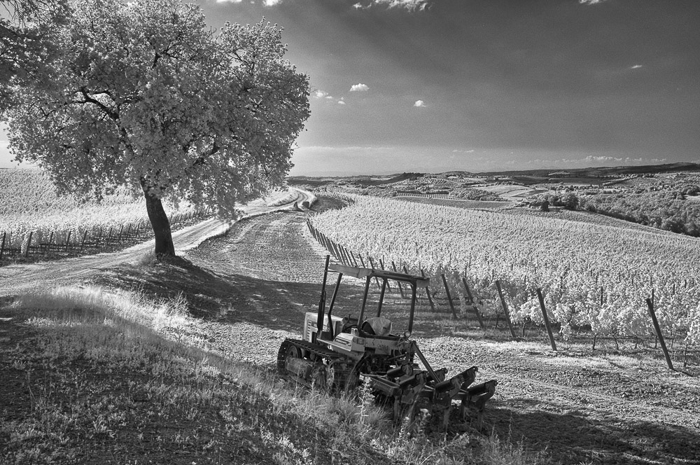 lucio barabesi - chianti schire (italy)