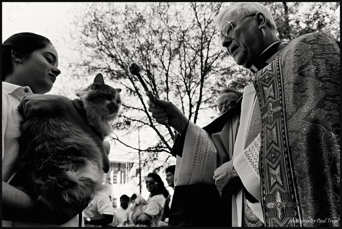 Paul Trupl - Blessing the animals